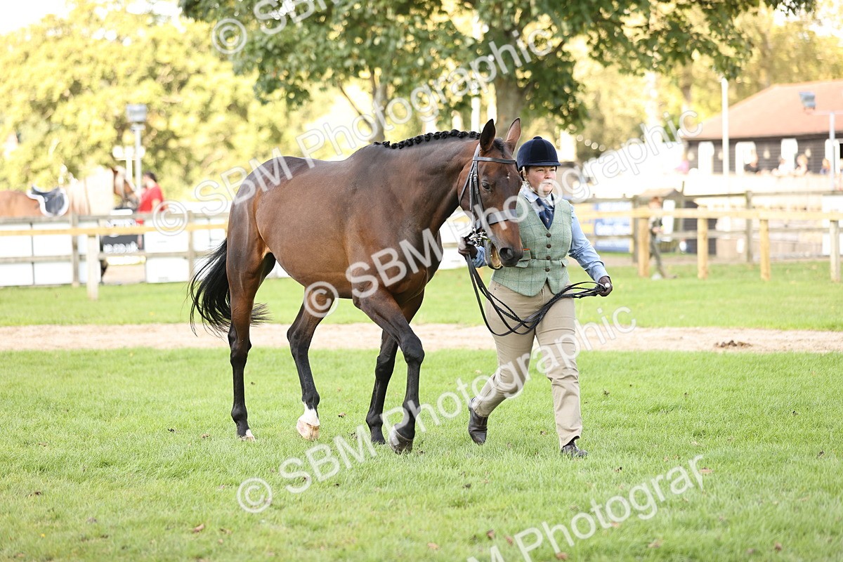 SBM_26262 - S5 - Novice & Newcomers In Hand