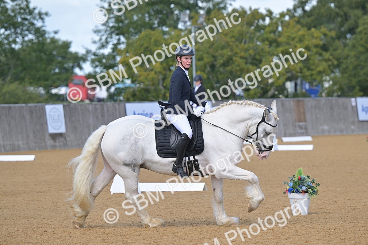 SBM_08011 - D8 - Small Tour Championship Prelim 1