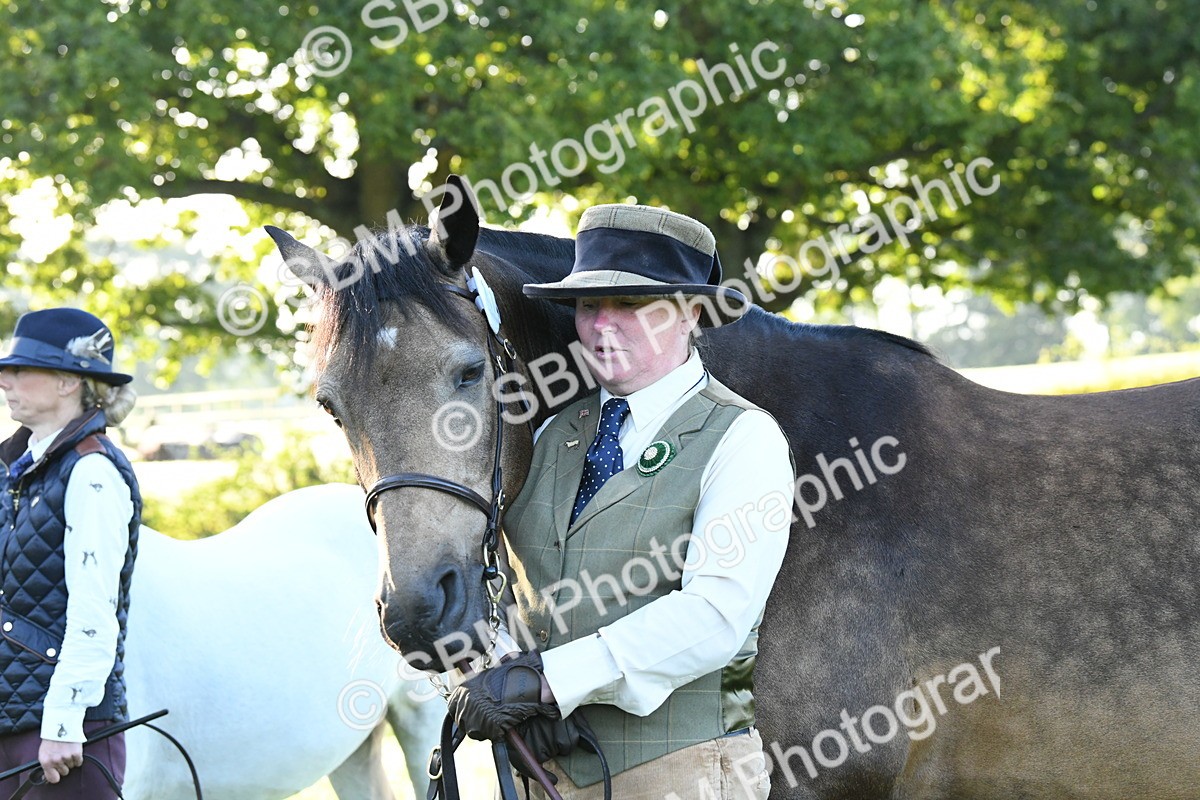 SBM_32694 - S15 - Condition & Turnout In Hand