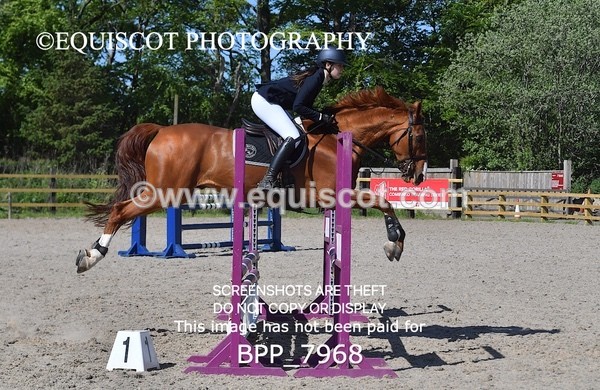 BPP_7968 - CLASS 2 Club/ Unaffiliated 80cms Open