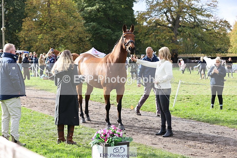 251026A-120459-25873 - G-506-Felicity.Egan