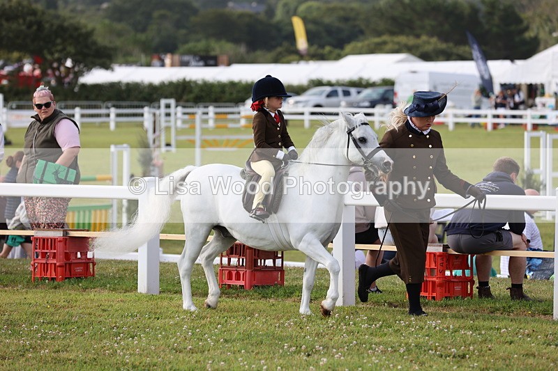 JPP_0247 - Class 14: Cornish Combination Leading Rein