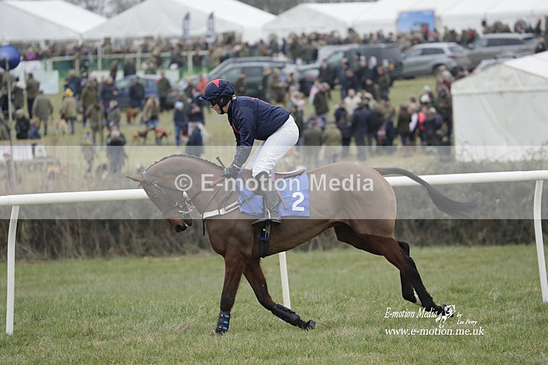PtP 040323 310 - Duke of Beauforts Hunt Point-to-Point Didmarton 04/03/23