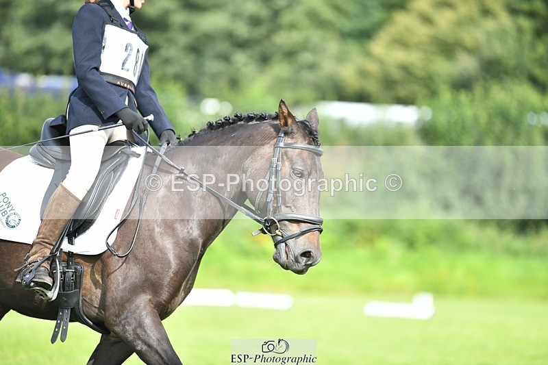 230826-095121-15262 - Sections C & D 9 to 10am