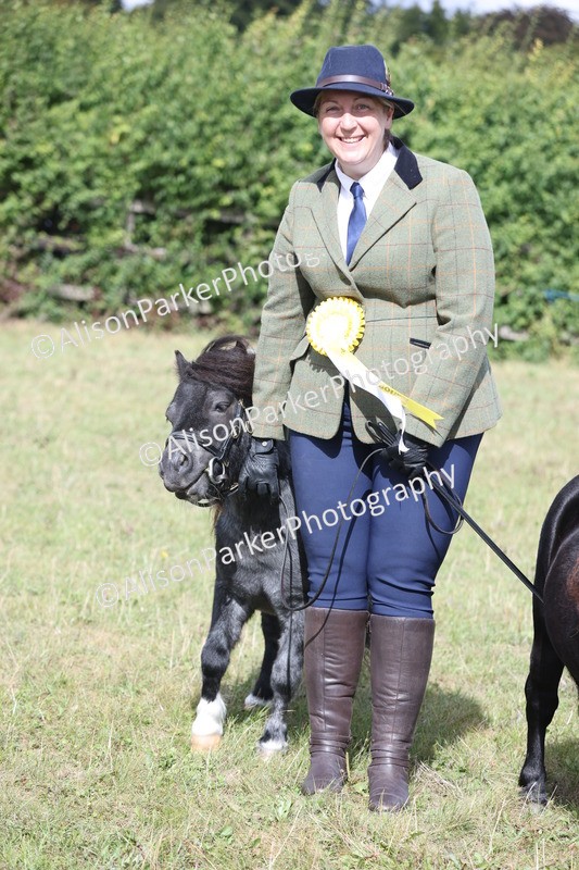 20250831-1723 - Class 22 - Mountain and Moorland Inhand