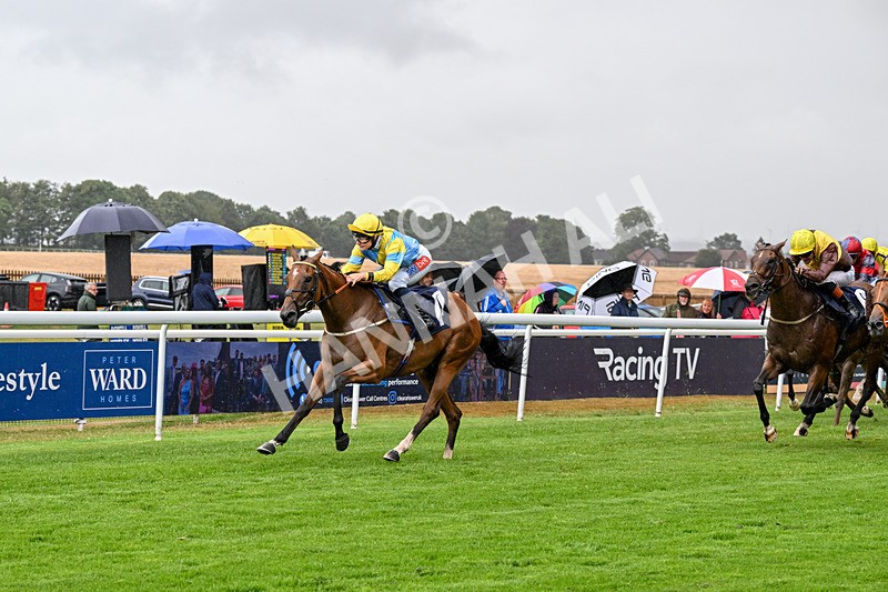 150725-Race 4-Without Flaw-0564 - Race 4