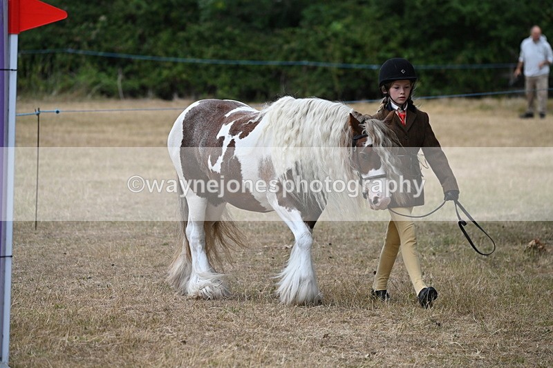 WJ6_7894 - Class 10 Coloured in Hand