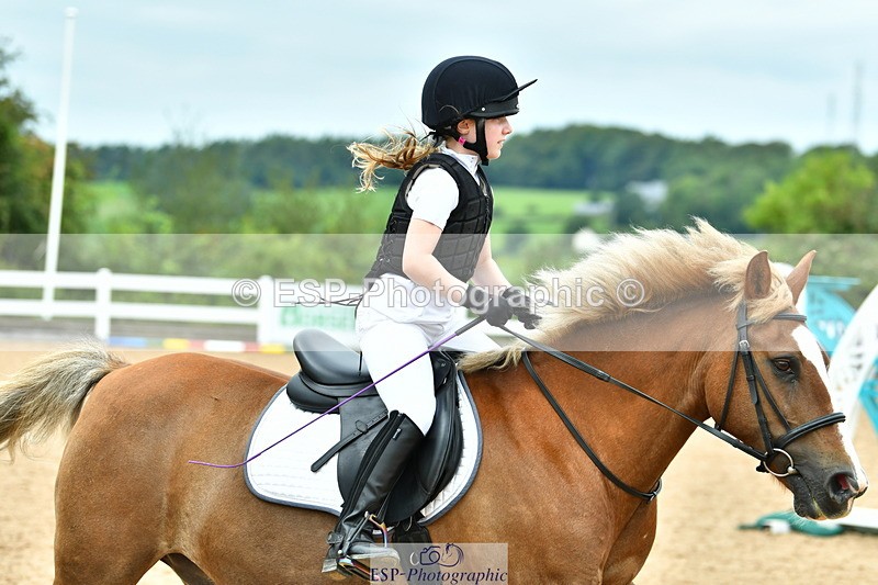 230804A-122748-02517 - Showjumping Competition