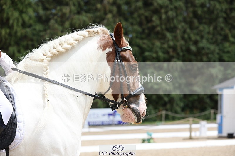 250718A-140139-01685 - 092-Rachael.Smaldon-Nadderbrook.Biscuit