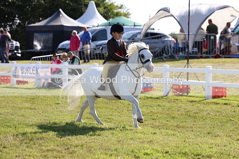 3E7A4129 - Supreme Championship