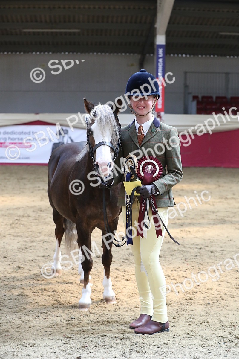 SBM_04462 - Class 7R Regional - IH Diamond