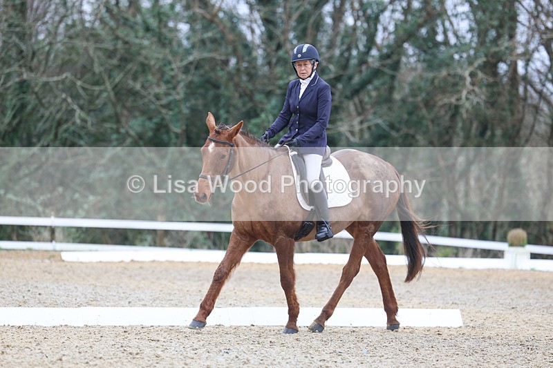 3E7A1076 - Class 6: Novice 1 2024 Section B