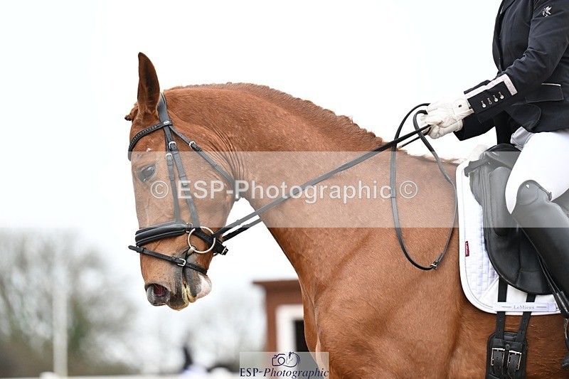 260215-114453-06083 - 131-Gail.Allum