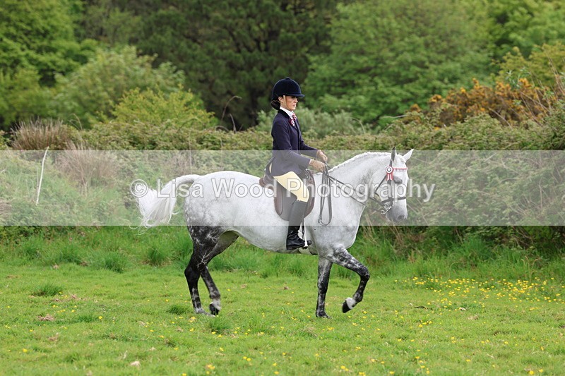 3E7A2067 - Class 11: Ridden Arab