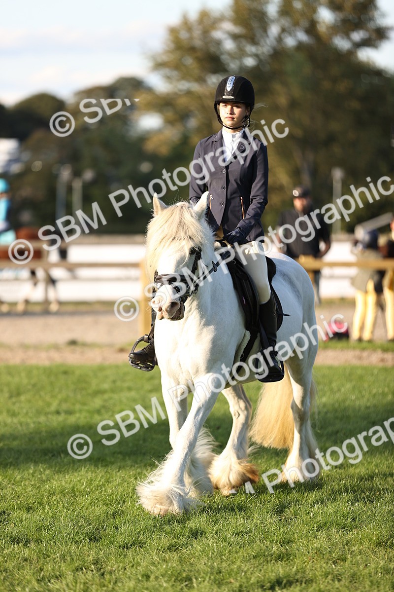 SBM_29577 - S7 - Novice & Newcomers Ridden Pony