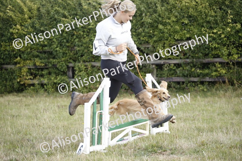 20250831-3867 - Dog Show