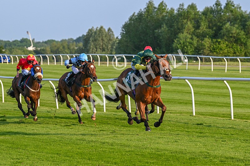 310524-Race 3-Lord Torranaga-8676 - Race 3