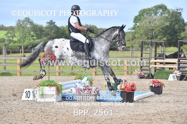 BPP_2561 - DERBY CLASS 8 - 90CM