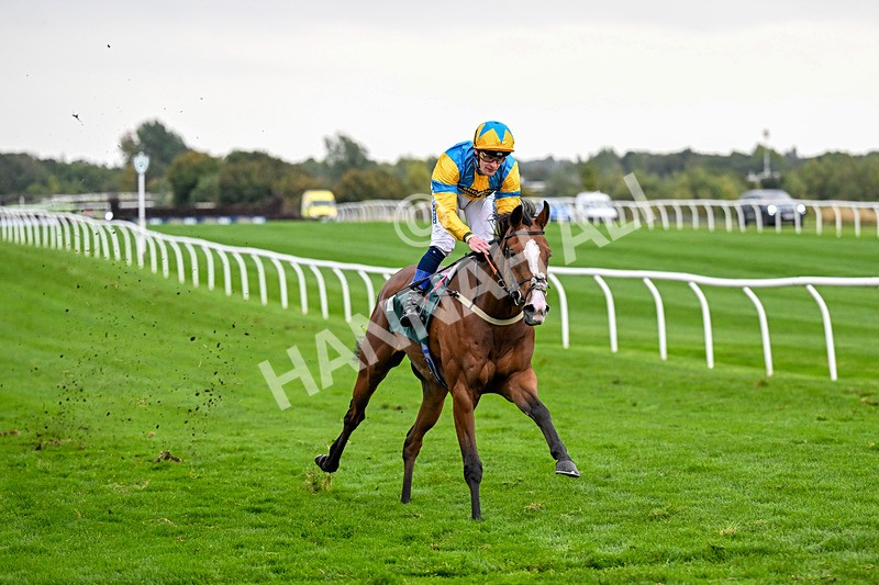 011025-Race 7-Lightning Tiger-0808 - Race 7