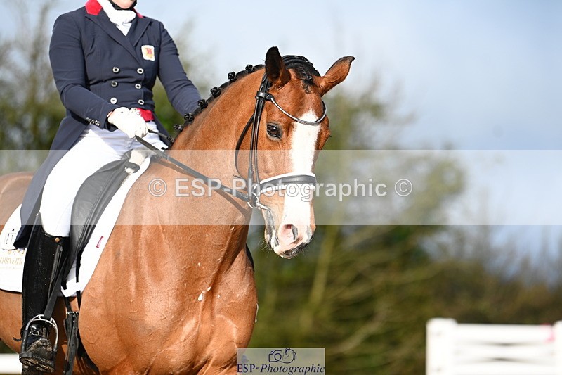 240218A-100652-05869 - 211-Charlotte.Dicker-Catherston.Timeless