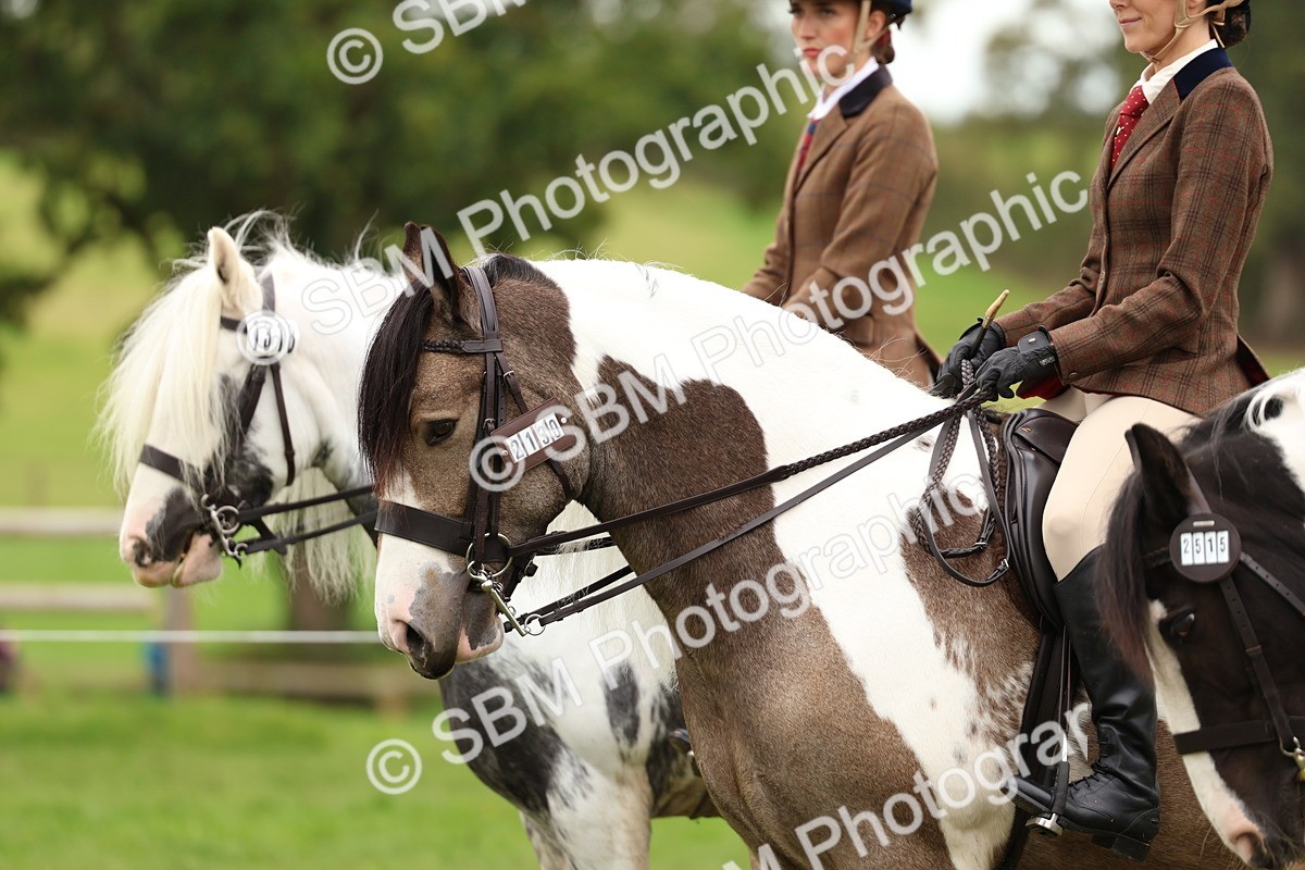 SBM_64640 - S58 - Coloured Pony Ridden