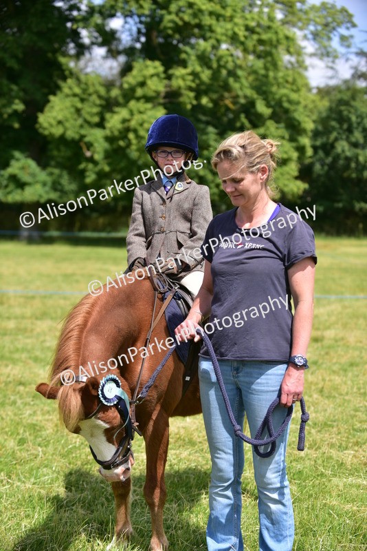 20260614-1330 - Class 11a - Lead Rein Pony (Unplaited)