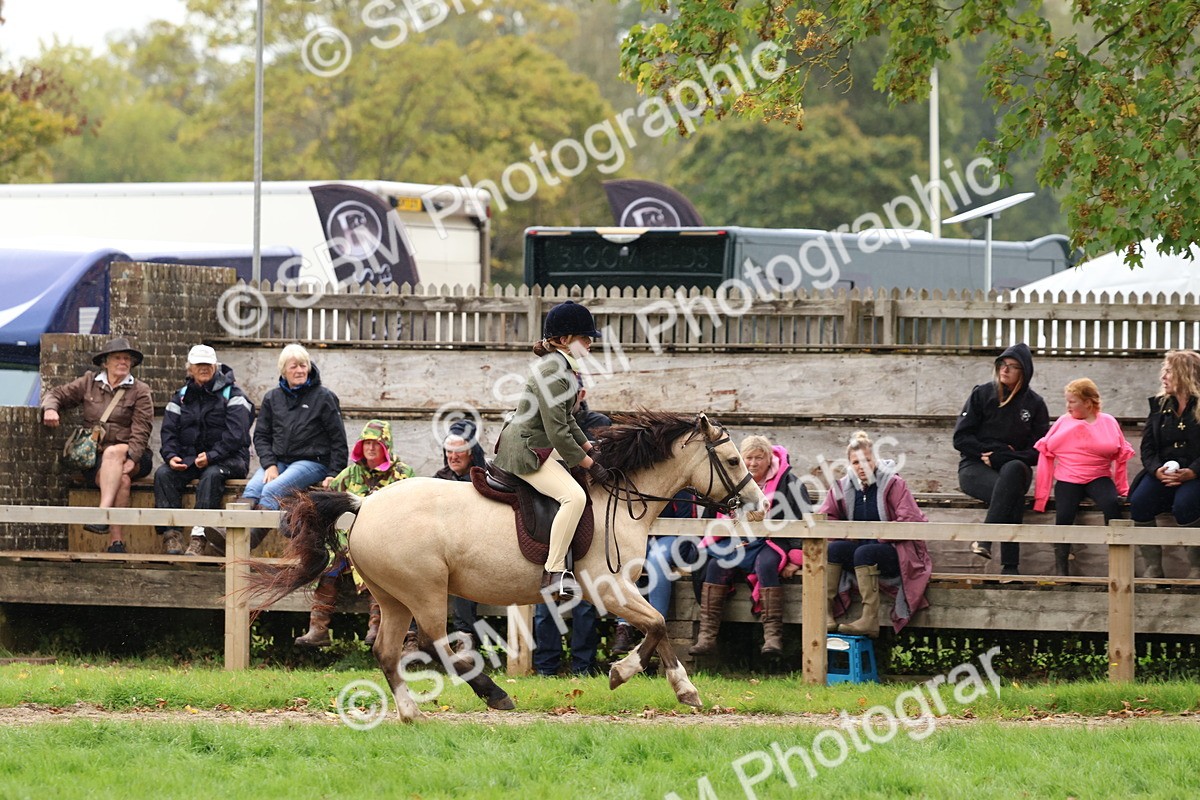 SBM_69638 - S62 - Mountain & Moorland Ridden Large Breeds