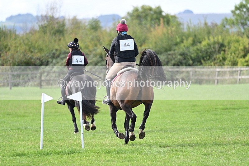 WJ7_8293 - 60cm Pairs