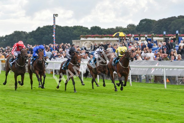 230923-Race 3-Politico-6276 - Race 3 3.10pm Happy 60th Birthday Angela Clark Nursery Handicap