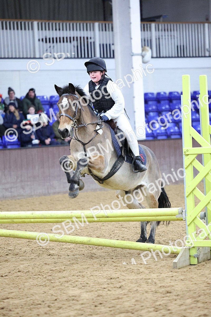 SBM_001048 - Class 3 - Christmas Tree Stakes - 60cm