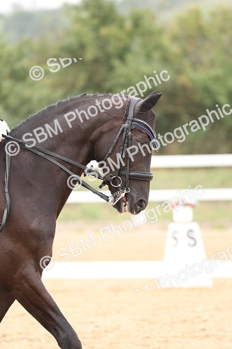 SBM_008113 - Class 10 - FEI INT I - 16.10-16.50