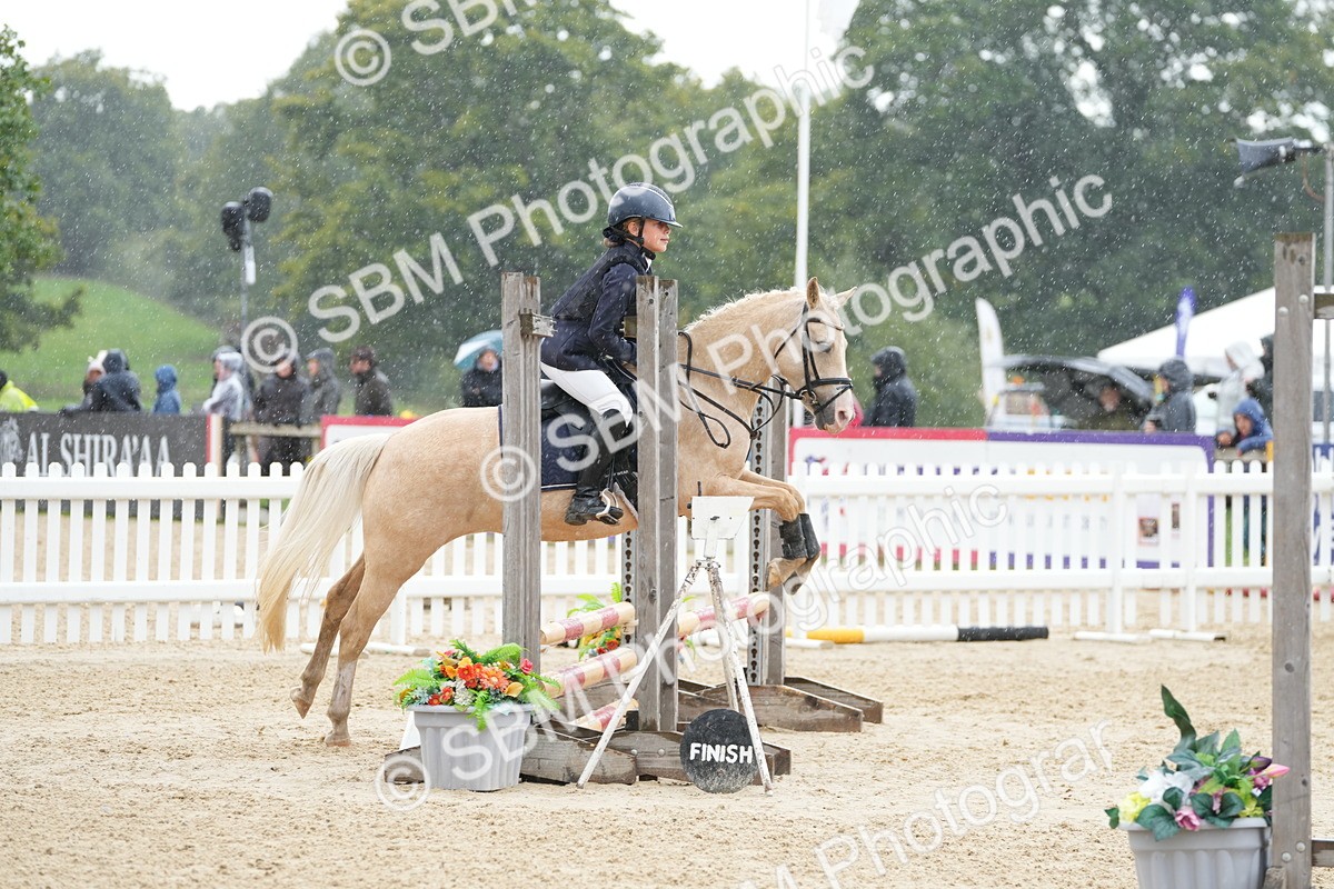 SBM_43317 - J7 - Junior Pony 60cm Championship