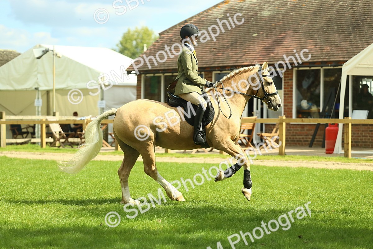 SBM_42117 - S29 - Novice & Newcomers Working Hunter Pony