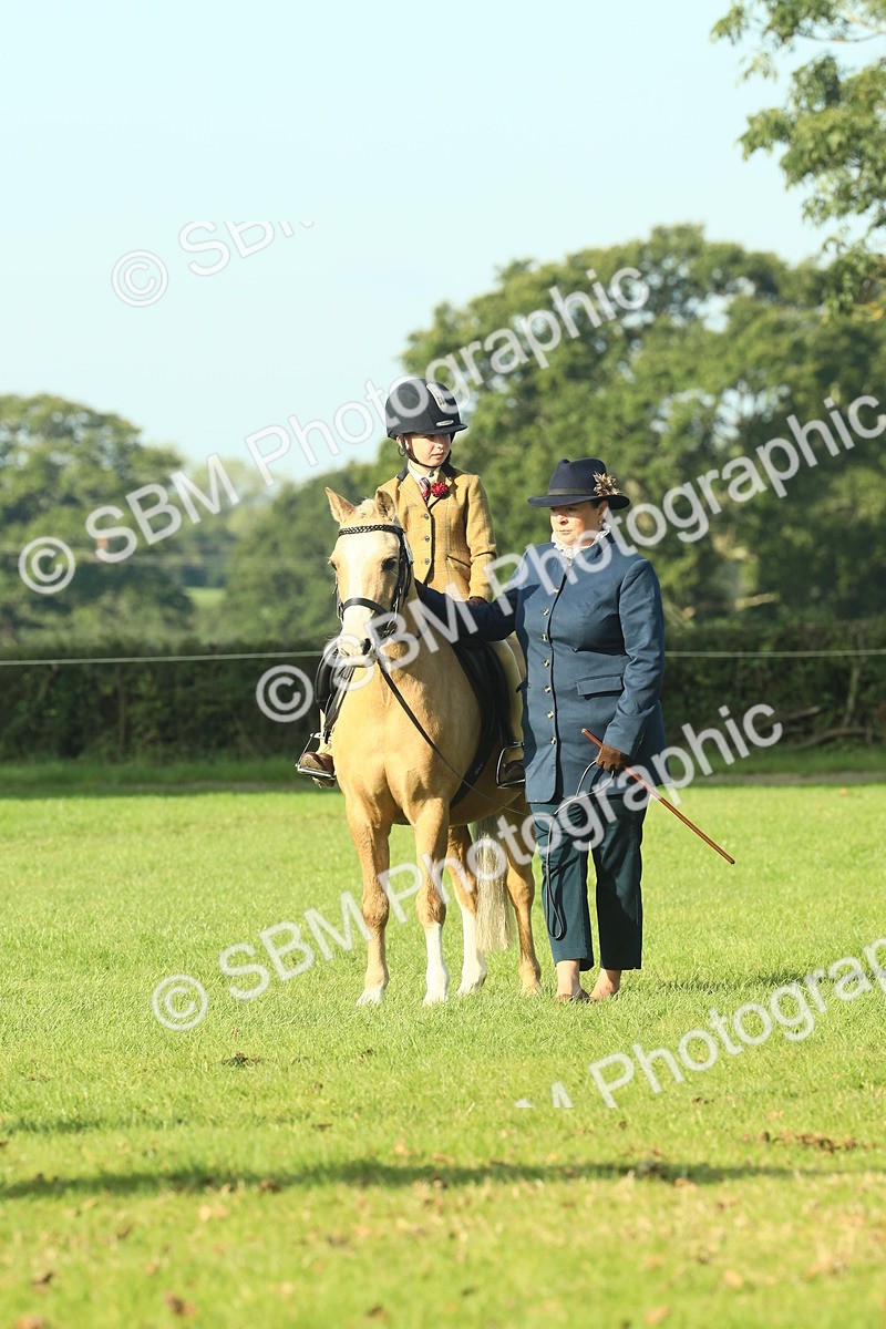 SBM_59196 - S38 - Starters Ridden Showing