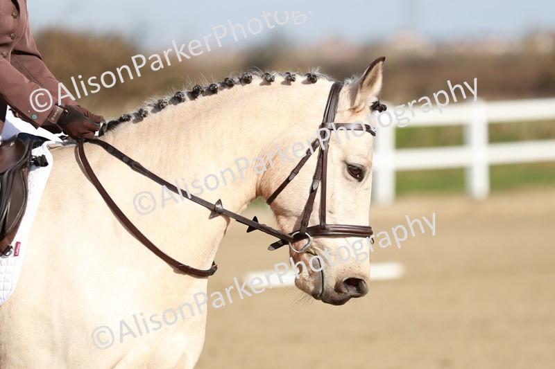 20260314-0074 - CT1 - Intro 1