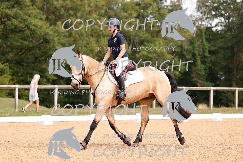 _R6A2807 - Dressage Morning