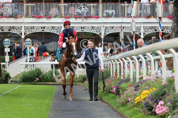 yr04092022r5-41 - Race 5 4.05pm Little Green Rascals Children's Nurseries Stakes