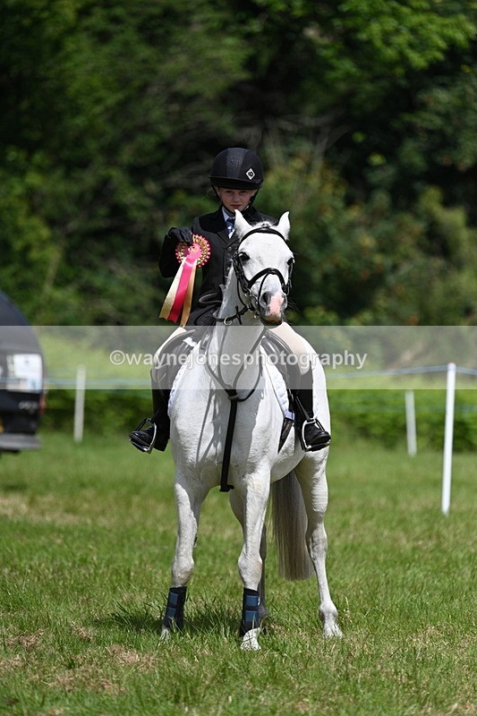 WJ7_1847 - Class 9 Pony Club Pony
