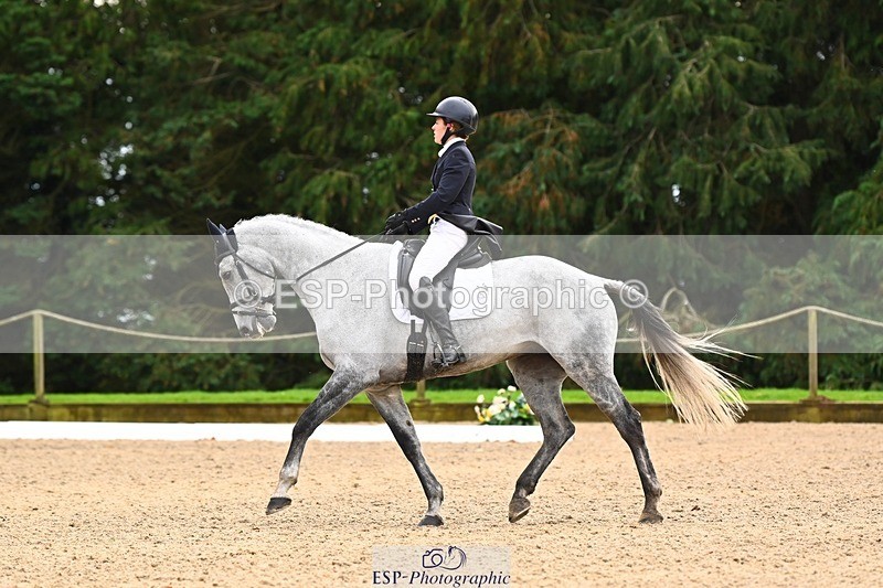 231021-135428-18588 - 248-KINGS.LANE-Liberty.Smith-DR