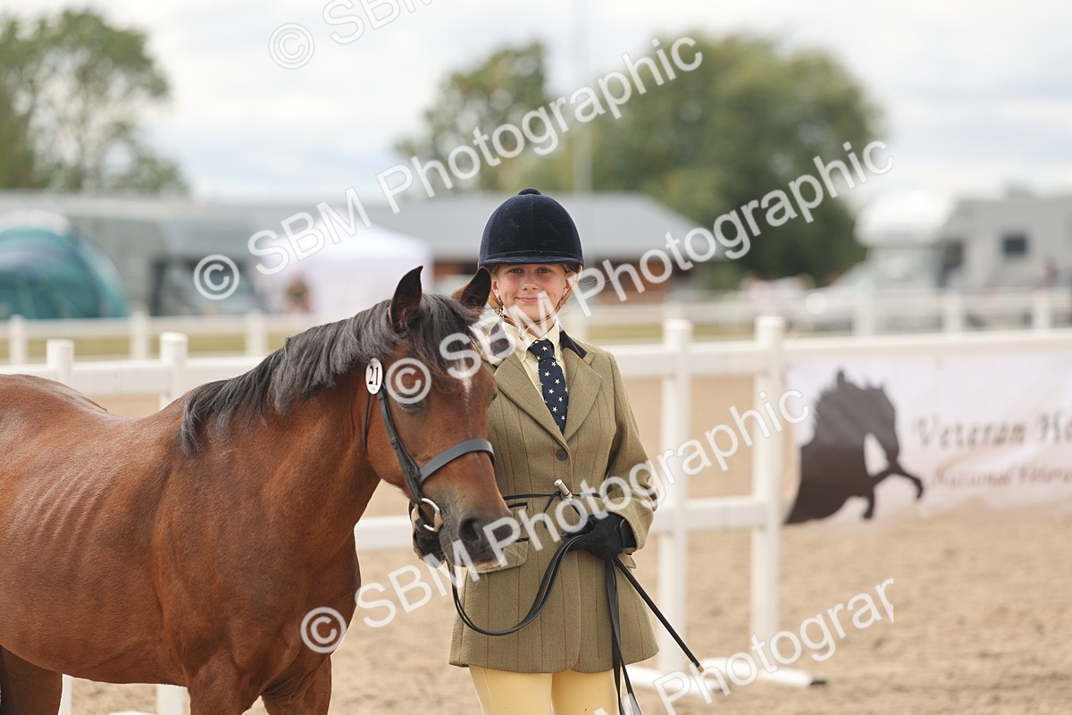 SBM_17009 - Class 312 - IH Competition Horse-Pony