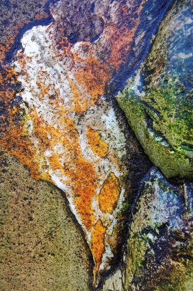  - Detail in Landscape