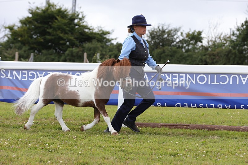 1X9A4747 - Class 35: Veteran In Hand