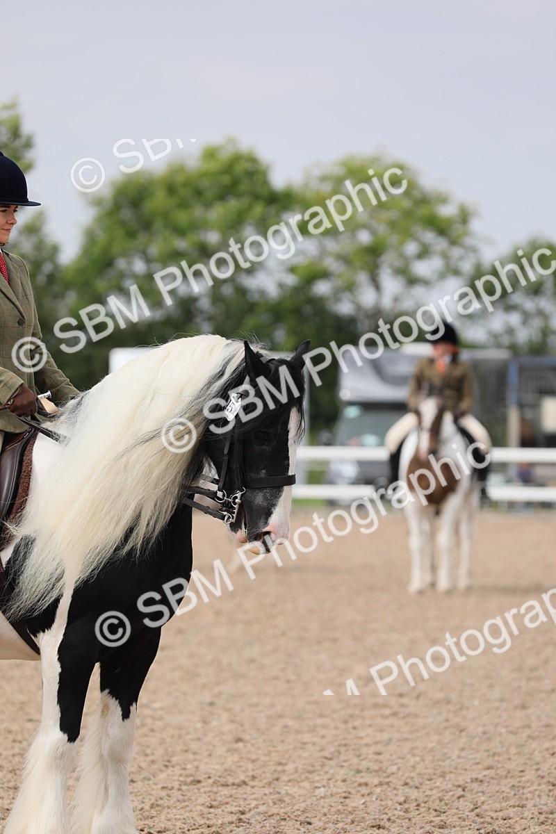 SBM_12794 - Class 307 Ridden Coloured Pony