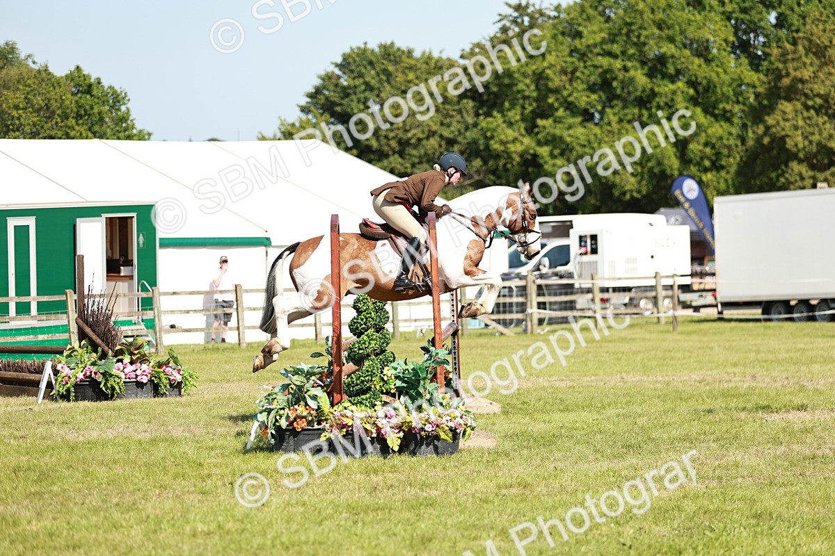 SBM_18801 - Class 114 - RIHS & SEIB Open Working Show Horse