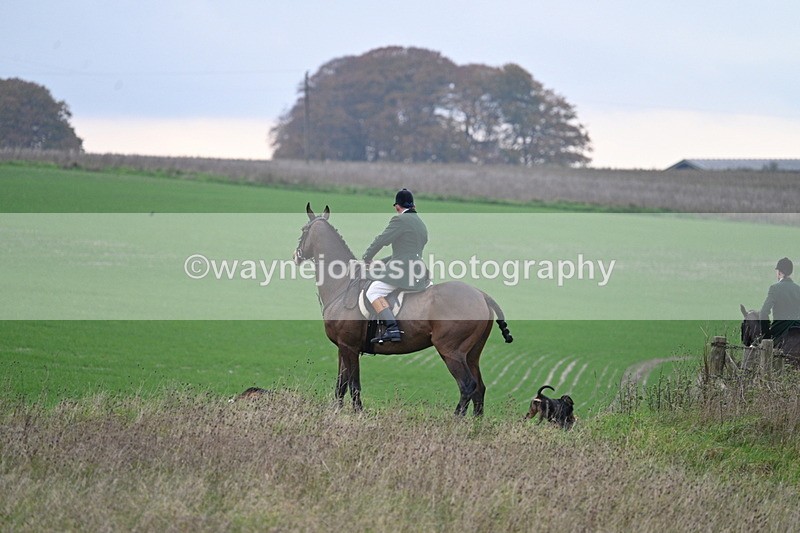 WJ7_9890 - Camera 1 & Last fence