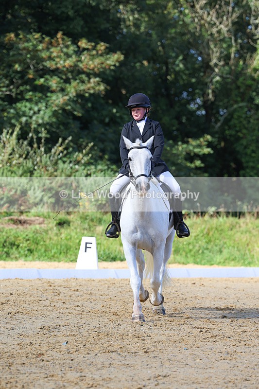 3E7A2493 - Class 1: Intro 4 2024 section A