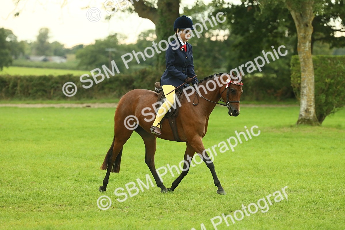 SBM_73954 - S 61 - Show Pony & Show Hunter Pony Ridden
