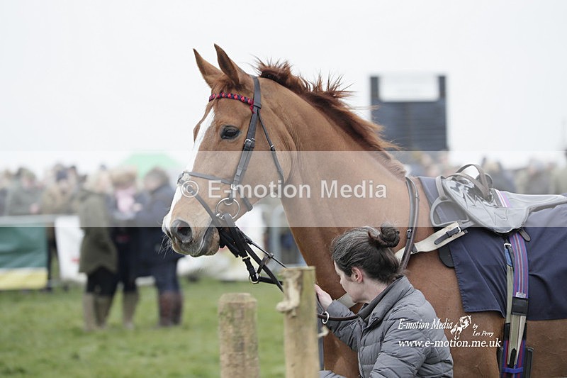 PtP 050323 767 - Blackmore & Sparkford Vale Hunt PtP - Somerset 05/03/23