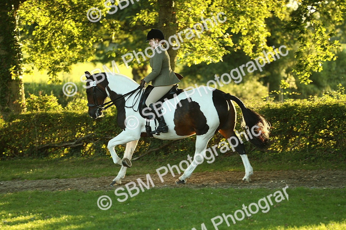 SBM_56501 - S14 - Riding Club Horse