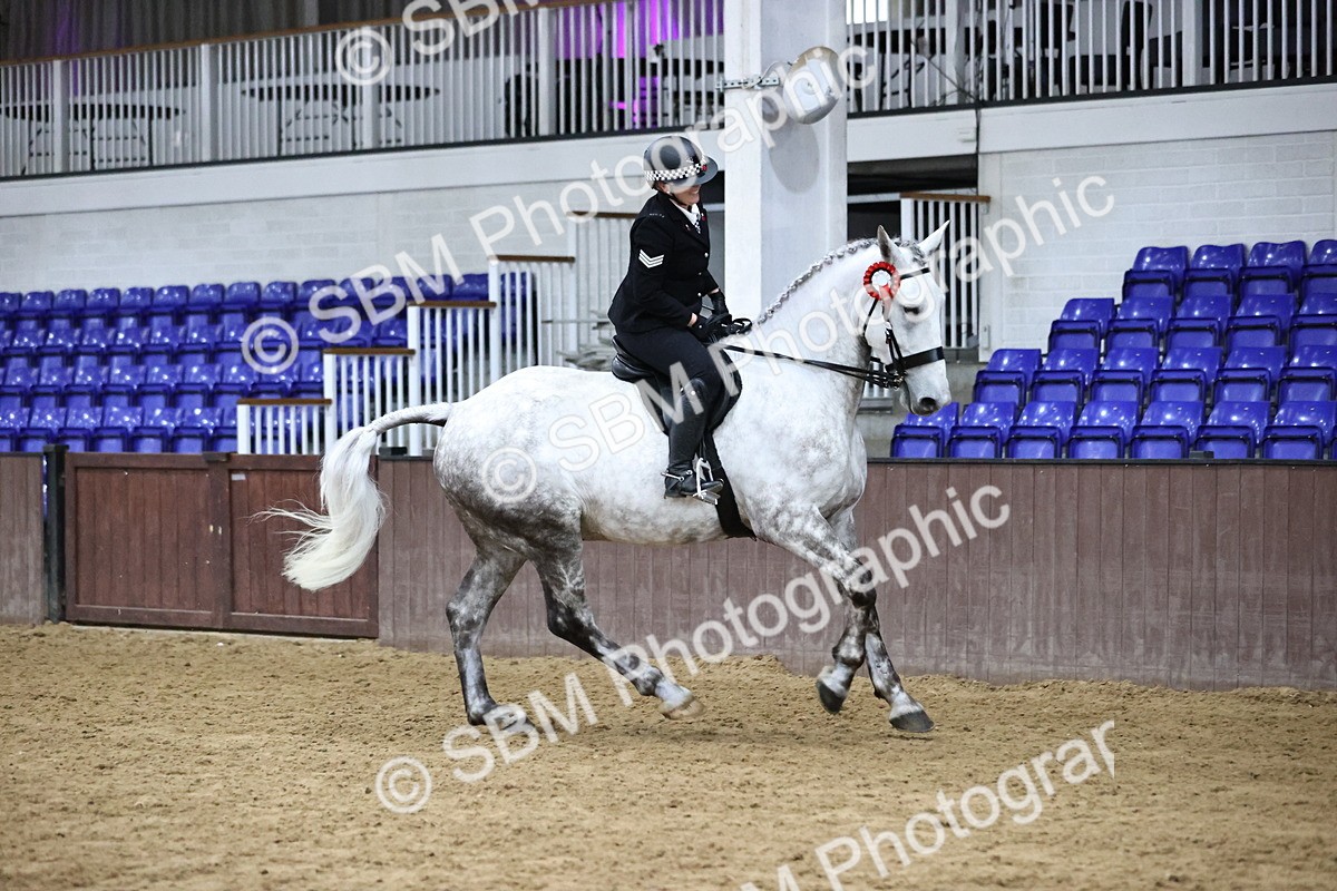 SBM_6319 - Class 17 - IDHSG Challenge Pure Breed